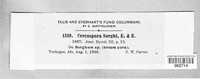 Cercospora sorghi image